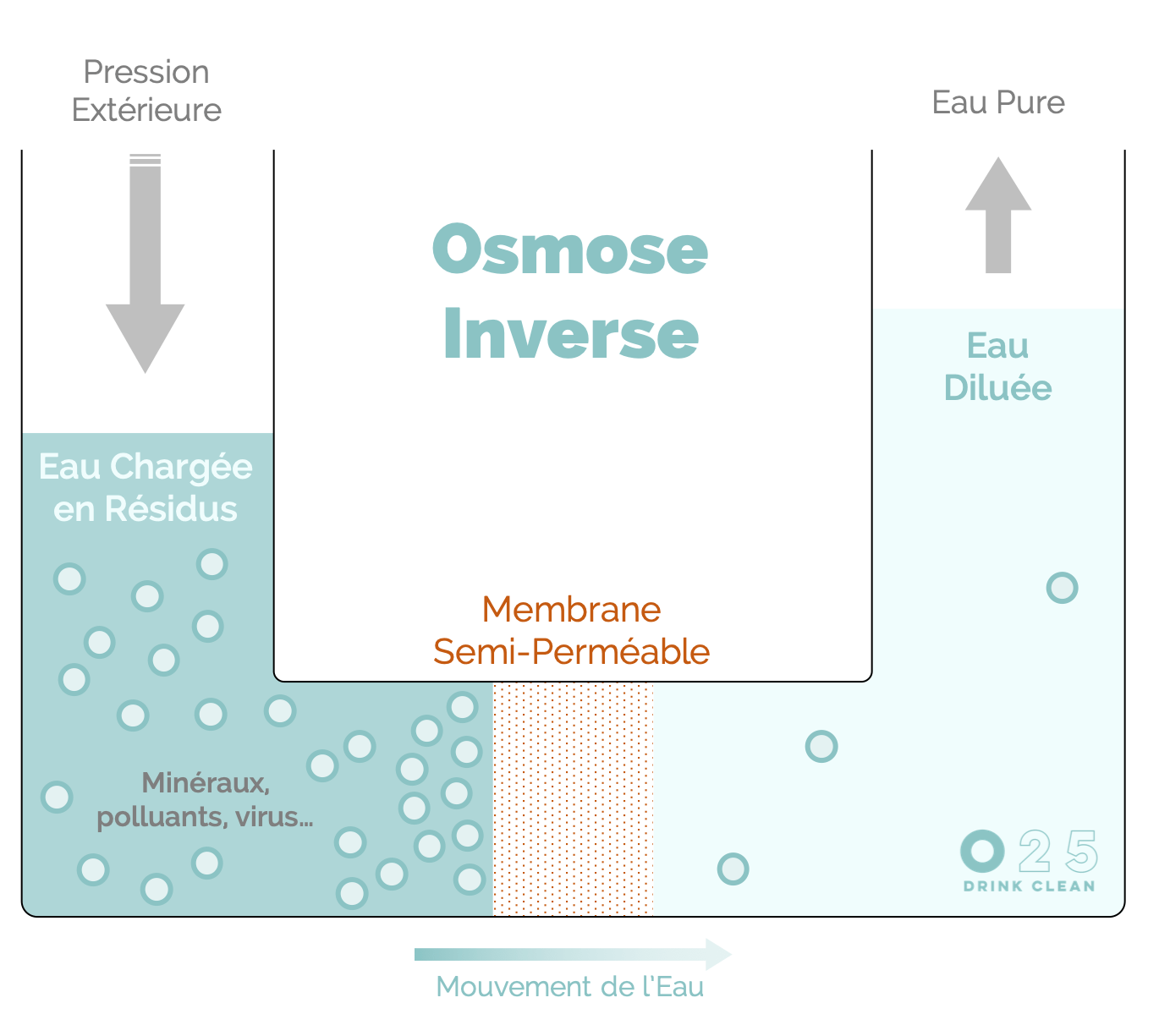 Comment l'osmose inverse purifie-t-elle l'eau ?